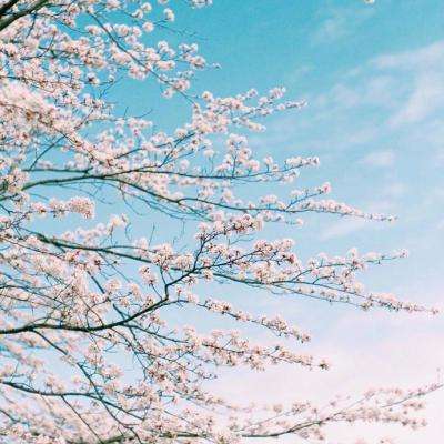 雷火亚洲电竞平台官网